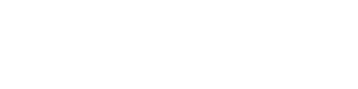 LBS-PRO-logo-light 2