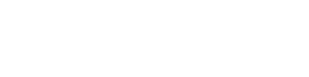 LBS-PRO-logo-light LBS-PRO-logo-light